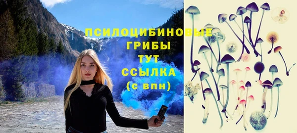 прущие крисы Покачи