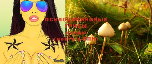 эйфоретик Чекалин