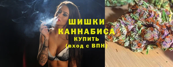 эйфоретик Чекалин