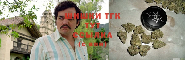 эйфоретик Чекалин