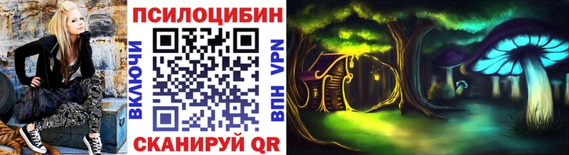 кракен ТОР  Евпатория  Галлюциногенные грибы Magic Shrooms 
