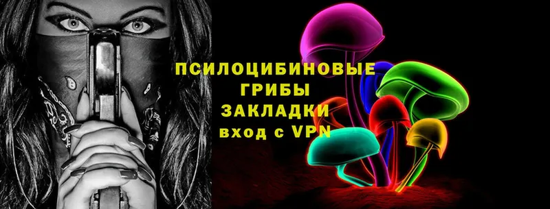 omg зеркало  купить наркотик  Евпатория  Галлюциногенные грибы MAGIC MUSHROOMS 